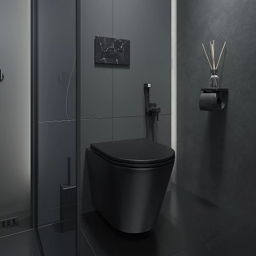 Фото Унитаз подвесной Iddis Calipso CALR3BMi25 безободковый купить в Петропавловск-Камчатский: цена, описание, фото. Интернет-магазин 3