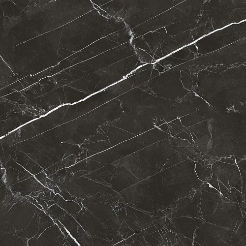 Фото Керамогранит матовый Steppe Ceramics Royal Black черный 600*600*9,5 – купить в Петропавловск-Камчатский: цена, описание, фото. Интернет-магазин 3