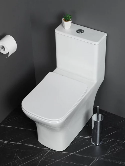 Фото Унитаз моноблок BelBagno Neon BB8617CPR-MN/SC безободковый купить в Петропавловск-Камчатский: цена, описание, фото. Интернет-магазин 1