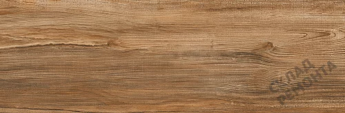 Фото Керамогранит матовый Lasselsberger Ипанема 6264-0011 (структурный) коричневый 200*600*8,5 – купить в Петропавловск-Камчатский: цена, описание, фото. Интернет-магазин 3